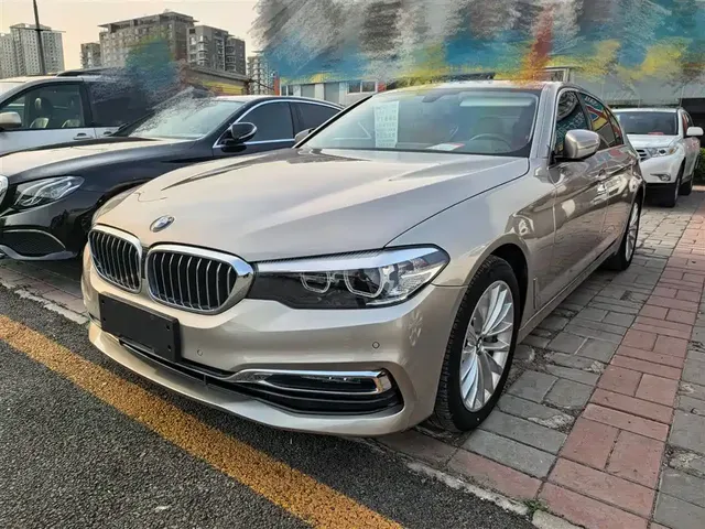 BMW 5 Series 2019 530Li Leading Luxury Package