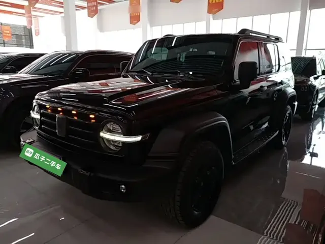 Tank 300 2021 Off-road Version 2.0T Conqueror