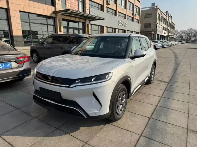 BYD Yuan UP 2024 301KM Leading Edition