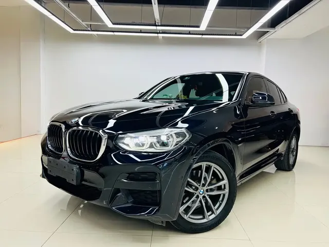 BMW X4 2019 xDrive25i M Sport Package