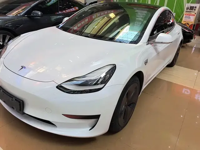 Tesla Model 3 2020 Standard Range Rear-Wheel Drive Upgrade