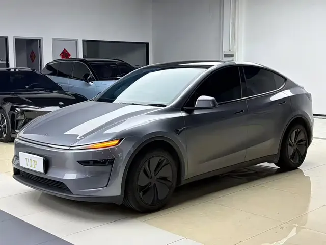 Tesla Model Y 2025 Rear-Wheel Drive