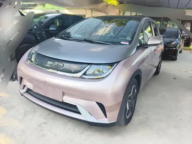 BYD Dolphin 2021 Model 405km Fashion Edition