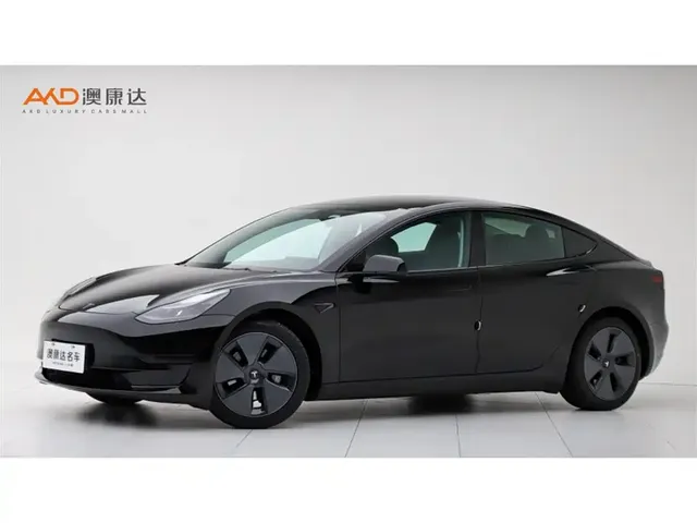 Tesla Model 3 2022 Model Rear-Wheel Drive Version
