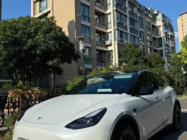 Tesla Model Y 2024 Rear-Wheel Drive Version