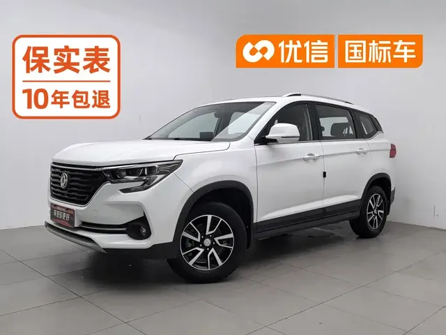 Dongfeng Fengxing T5 2020 1.6L Manual Comfort China VI