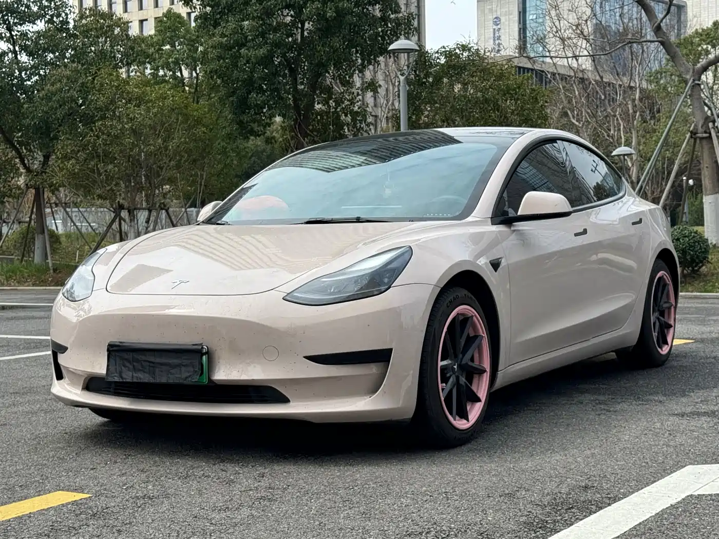 Tesla Model 3 2022 Model Rear-Wheel Drive Version
