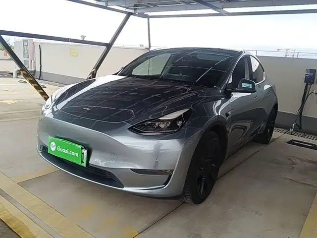 Tesla Model Y 2021 Standard Range Rear-Wheel Drive