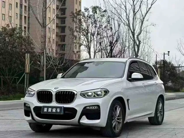 BMW X3 2018 xDrive30i Leading M Sport Package China V