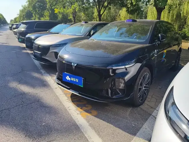 Voyah Auto Voyah Zhiyin 2025 Base