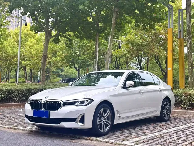 BMW 5 Series 2020 530Li Leading Luxury Package