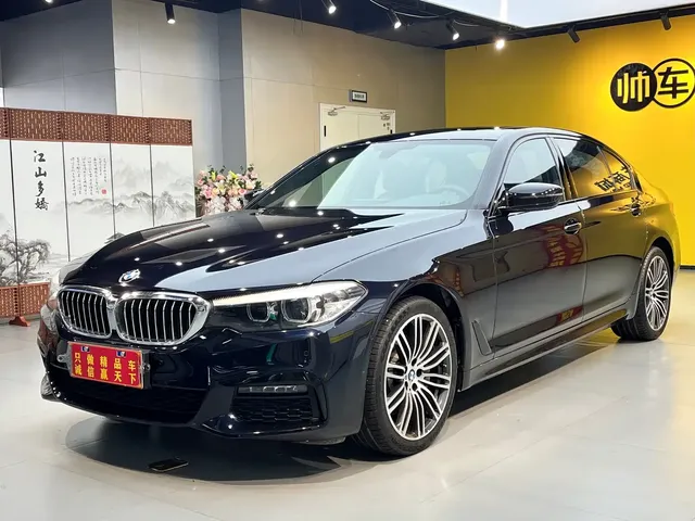 BMW 5 Series 2019 530Li Leading M Sport Package