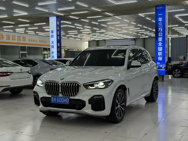 BMW X5 (Import) 2019 xDrive30i M Sport Package