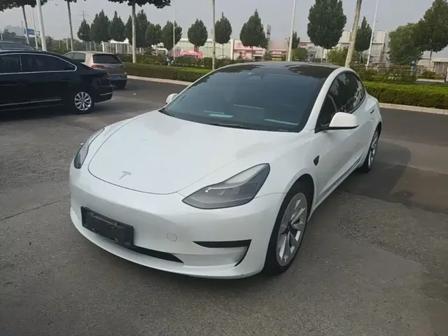 Tesla Model 3 2021 Standard Range Rear-Wheel Drive Upgrade 3D6