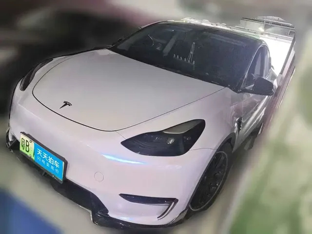 Tesla Model Y 2021 Standard Range Rear-Wheel Drive