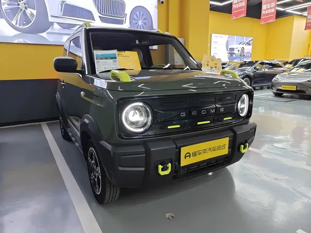 Geely Galaxy Panda 2025 Model Year 210km Panda Knight