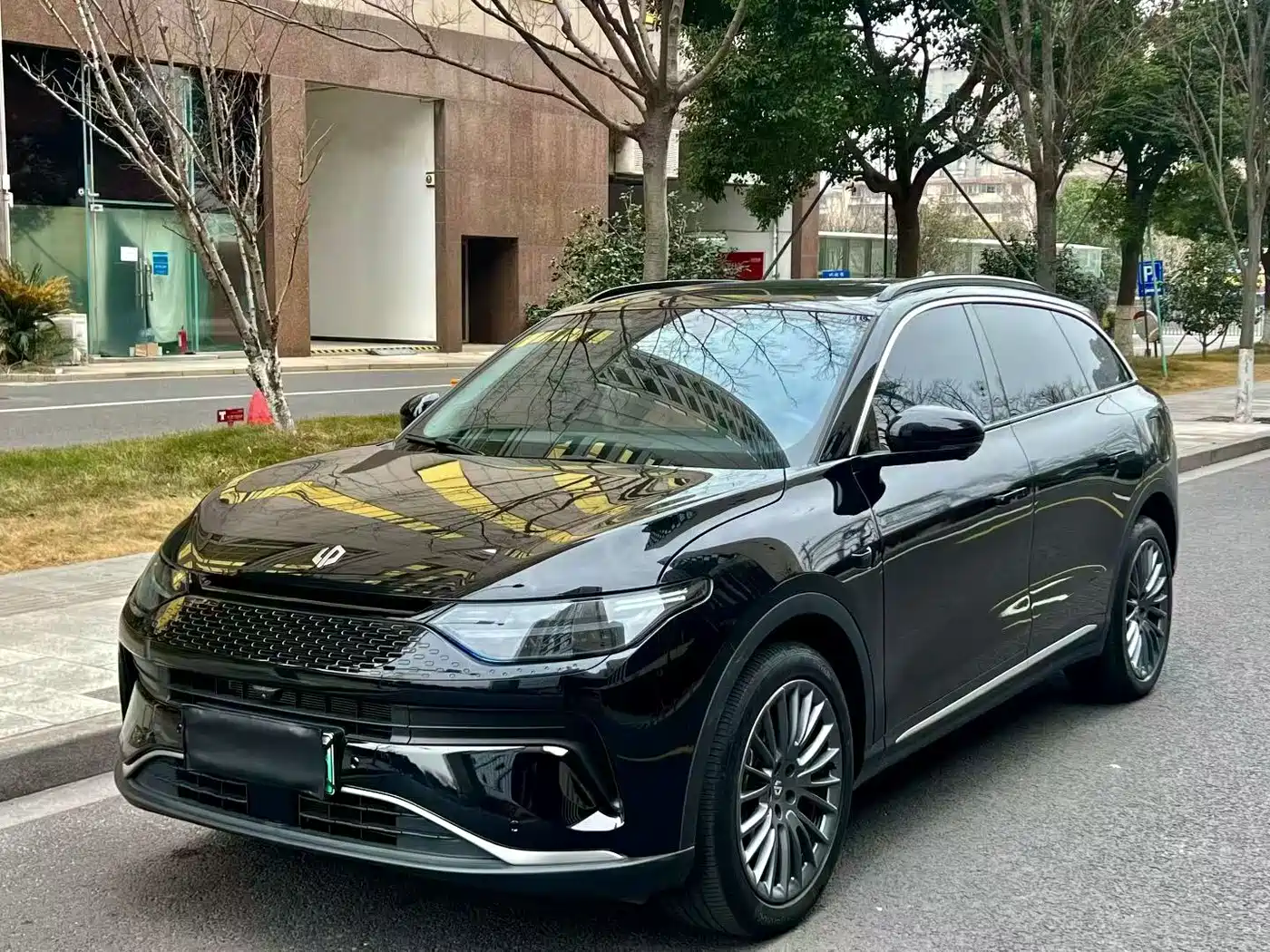 Leapmotor C11 2024 Pure Electric 580 Premium Edition