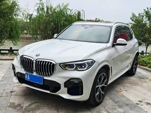 BMW X5 (Import) 2019 xDrive40i Exclusive M Sport Package
