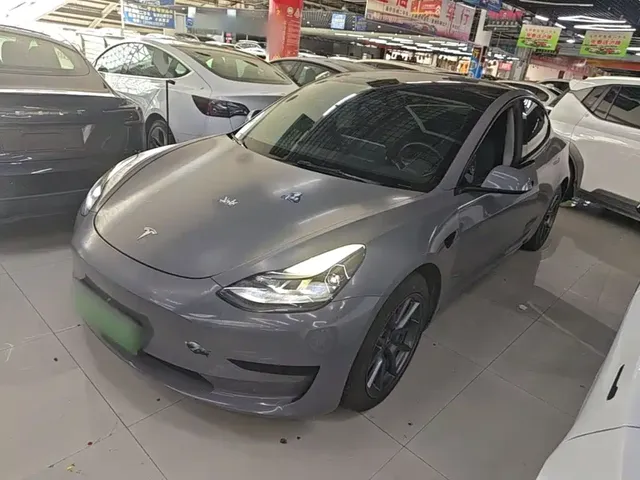 Tesla Model 3 2021 Standard Range Rear-Wheel Drive Upgrade 3D6