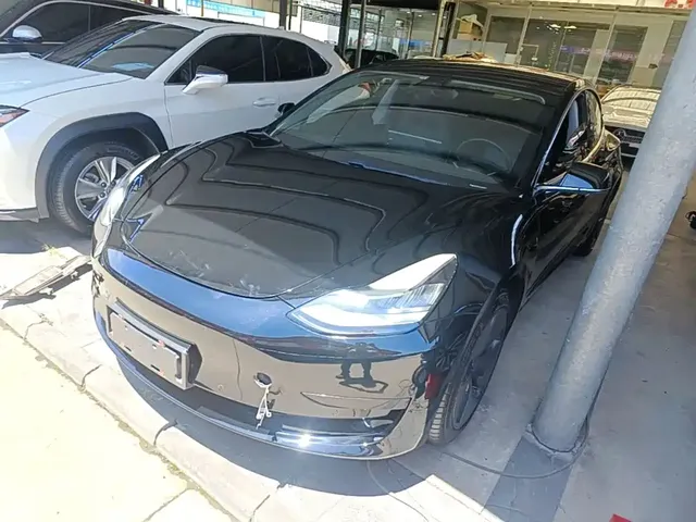 Tesla Model 3 2019 Standard Range Rear-Wheel Drive Upgrade