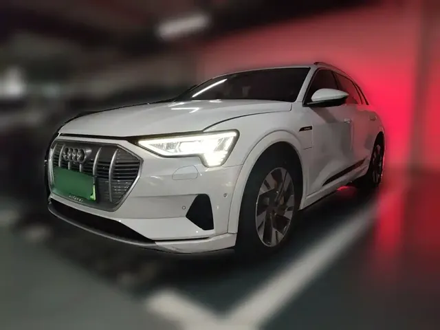 Audi e-tron (Import) 2019 55 quattro Fashion