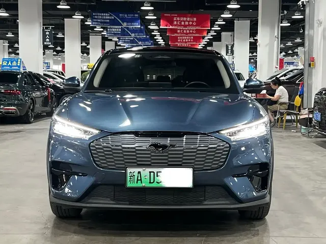 Ford Mustang Mach-E 2021 Leap World RWD (Standard Range)
