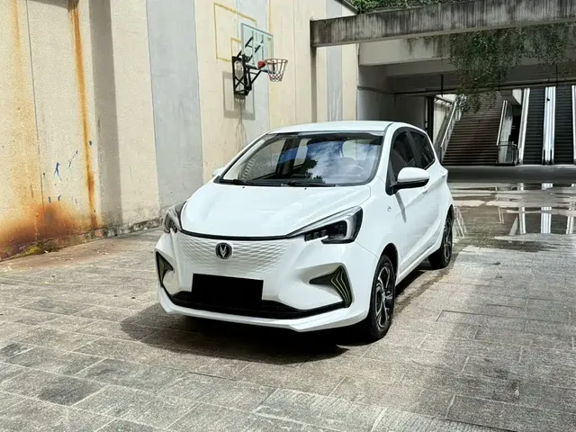 Changan Benben E-Star 2020 Heartbeat Edition (NMC Battery)