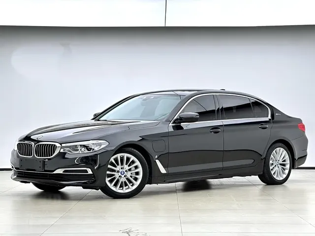 BMW 5 Series New Energy 2019 Facelift 530Le Luxury Package