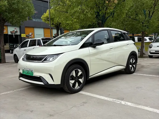 BYD Dolphin 2025 420km Freedom Edition