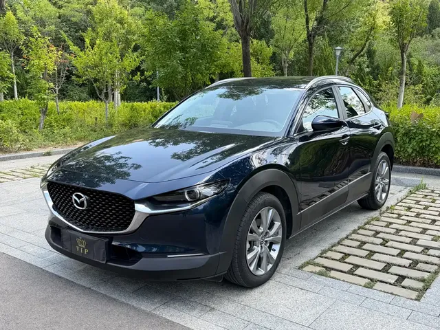 Mazda CX-30 2021 2.0L Auto Premium Joy Type