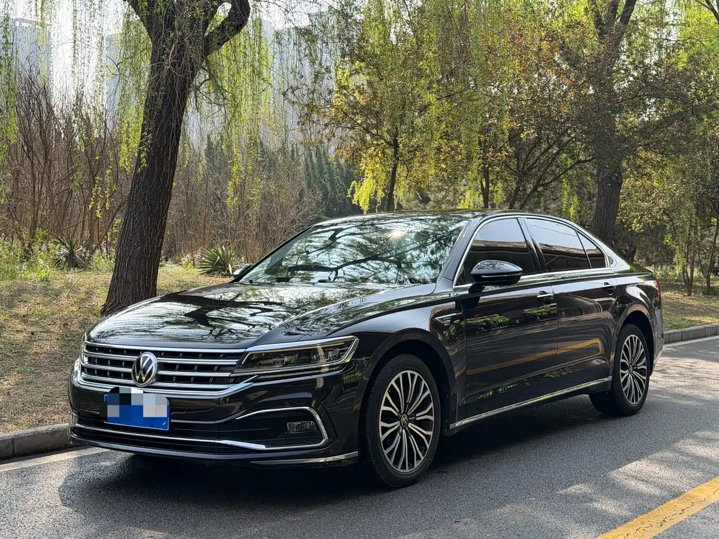 Volkswagen Phideon 2021 380TSI Luxury Edition