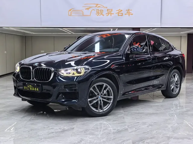 BMW X4 2019 xDrive25i M Sport Package