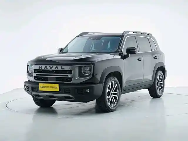 Haval Big Dog 2024 1.5T DCT Border Collie Edition