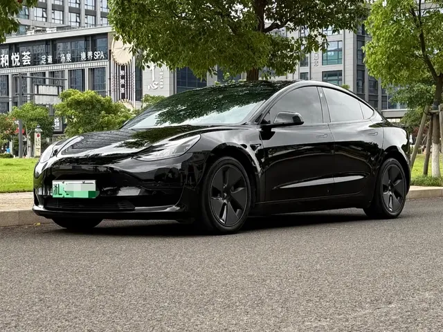 Tesla Model 3 2021 Standard Range Rear-Wheel Drive Upgrade 3D6