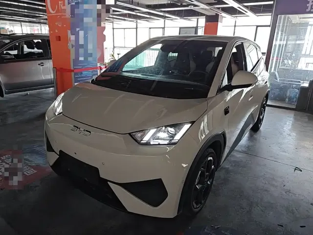 BYD Seagull 2025 Smart Drive Edition 305km Freedom Version