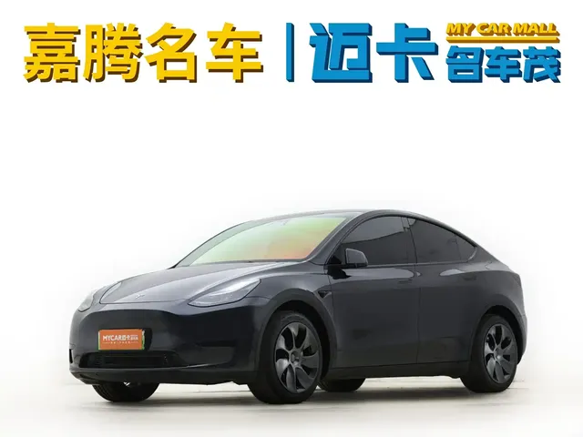 Tesla Model Y 2024 Rear-Wheel Drive Version