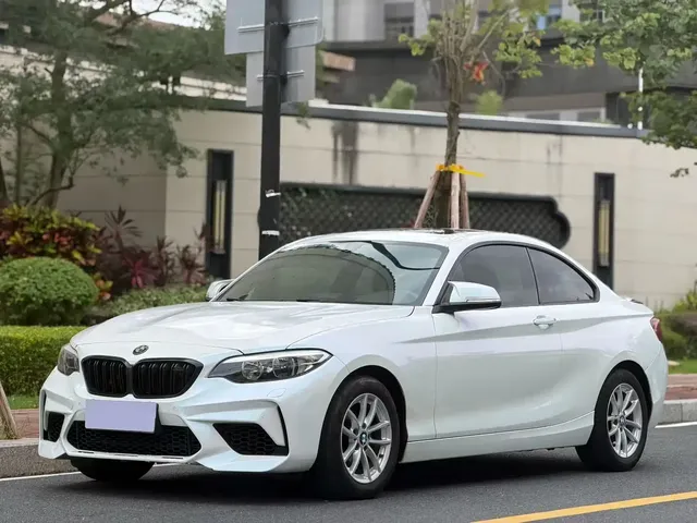 BMW 2 Series (Import) 2015 218i