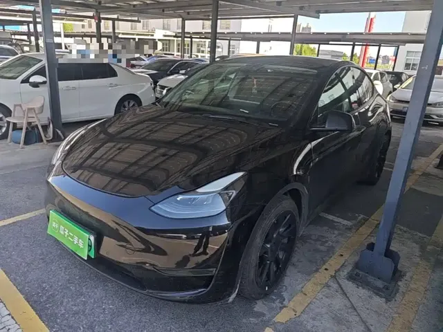 Tesla Model Y 2021 Standard Range Rear-Wheel Drive