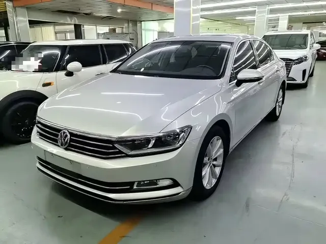 Volkswagen Magotan 2019 330TSI DSG Leading China V
