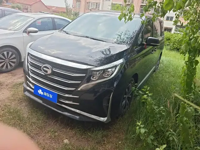 GAC Trumpchi M8 2021 Leading Show Series 390T Premium Edition
