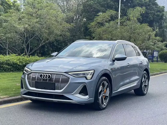 Audi e-tron 2021 50 quattro Exclusive Selection