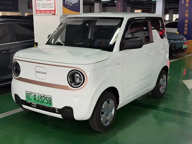 Geely Galaxy Panda 2024 Panda mini 200km Endurance Bear