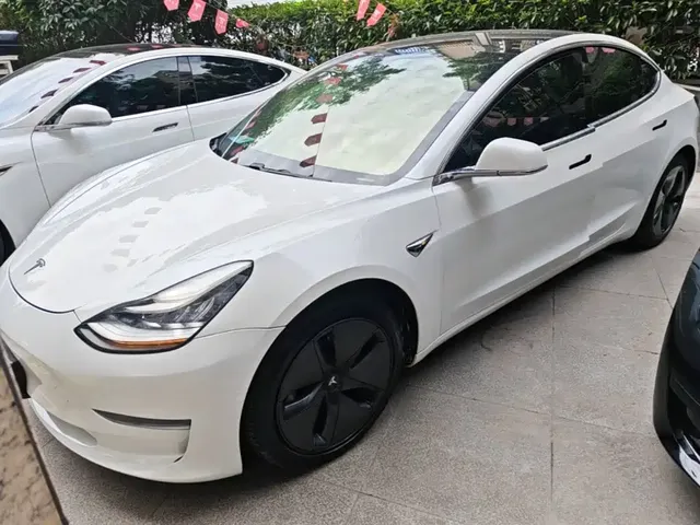 Tesla Model 3 (Import) 2019 Long Range All-Wheel Drive Edition