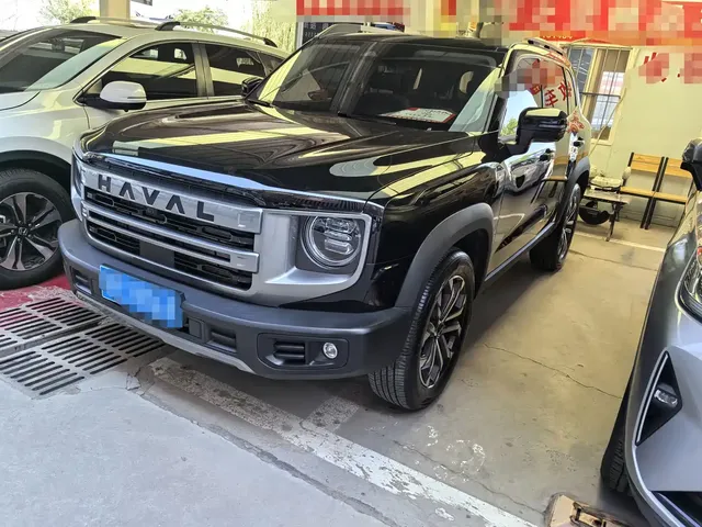 Haval Big Dog 2024 1.5T DCT Border Collie Edition