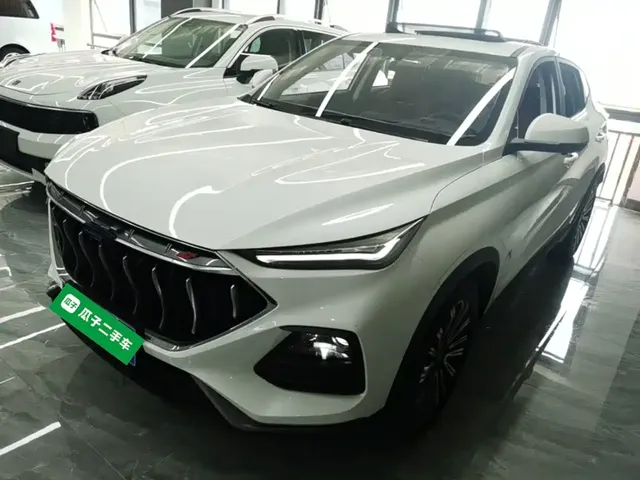 Changan Oshan Changan Oushang X5 2021 1.5T DCT Premium