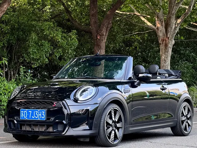 MINI MINI 2023 2.0T COOPER S CABRIO Artist