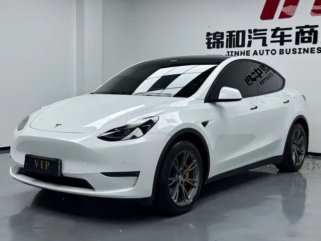 Tesla Model Y 2021 Standard Range Rear-Wheel Drive