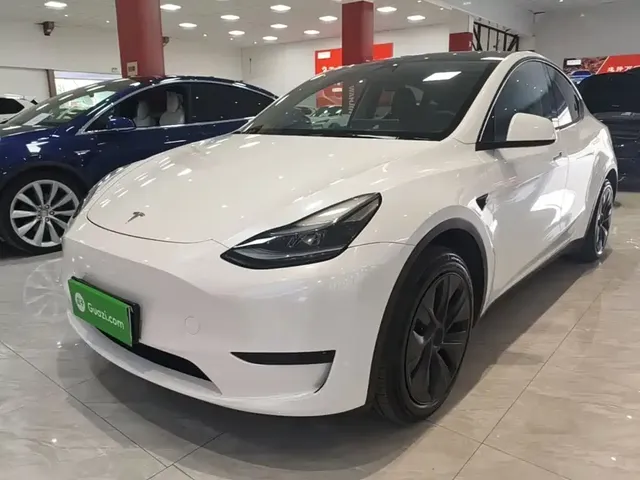 Tesla Model Y 2023 Rear-Wheel Drive Edition