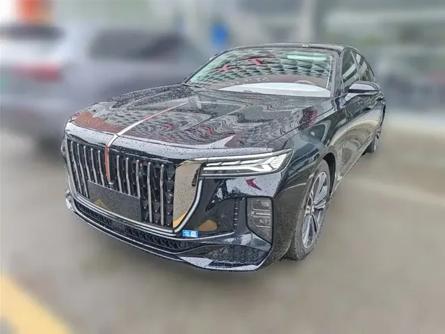Hongqi H9 2024 2.0T Qi Enjoy Private Fashion Edition