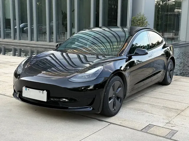 Tesla Model 3 2021 Standard Range Rear-Wheel Drive Upgrade 3D6